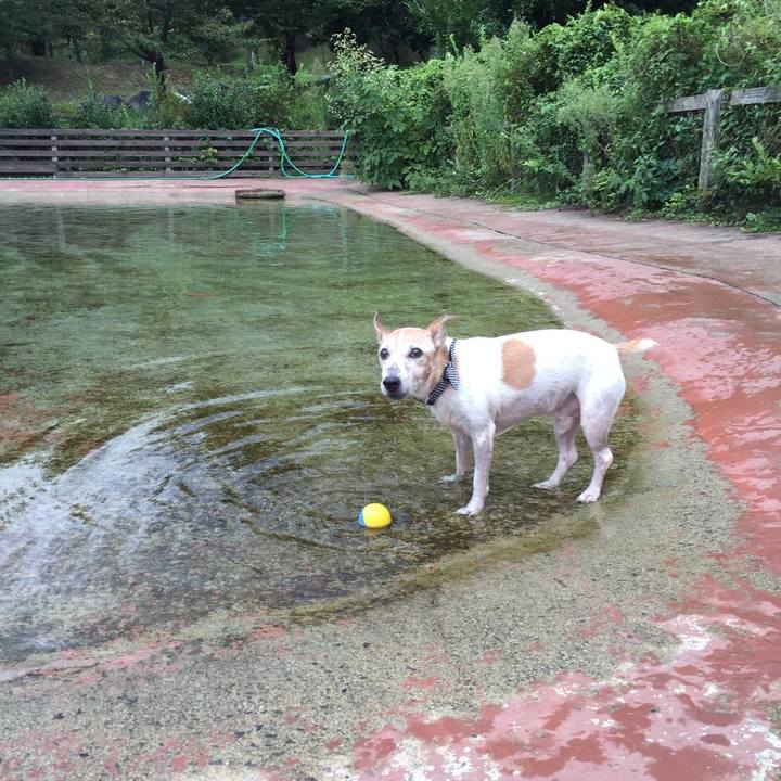 3a213a62 5cf0 4dd9 826c 3c2e1e2f1176