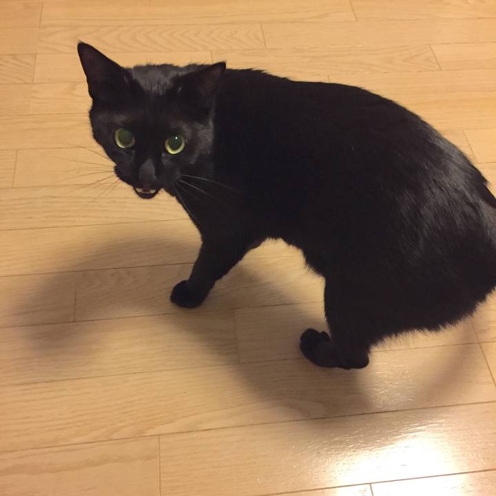 3a214804 4af7 49b9 8087 30fdc9826a95