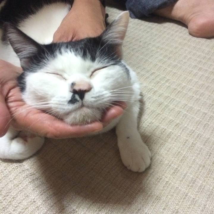 3a2167e3 3cb3 46e8 8364 83dab37ef318