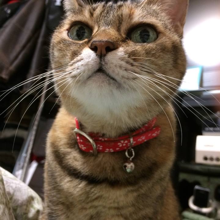 3a21ebde 9d45 47d1 8b9a 863074a2bd30