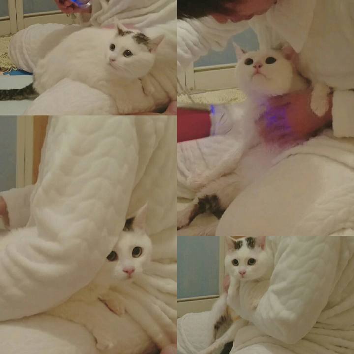 3a21fd13 928a 49ed 957b 56f264185b7b