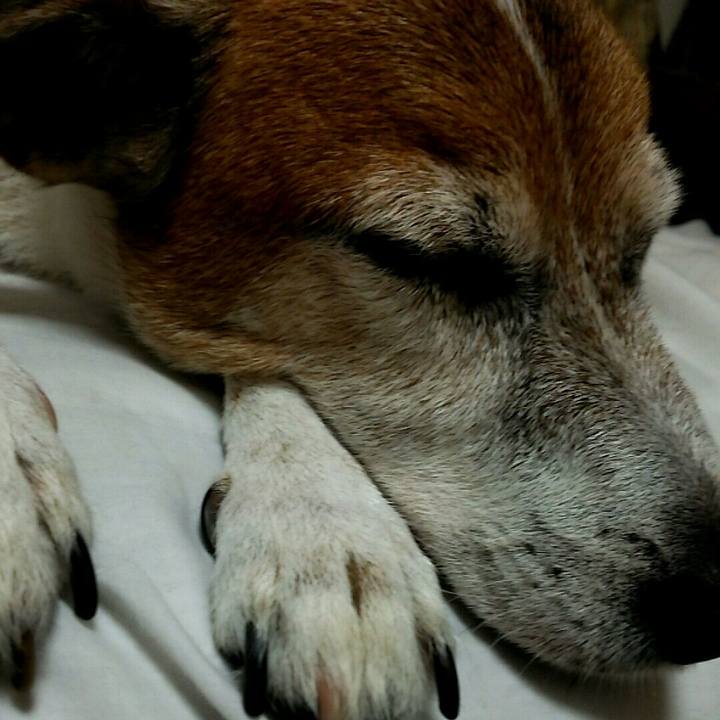 3a222241 a717 4b5b a685 d010b2695dbe