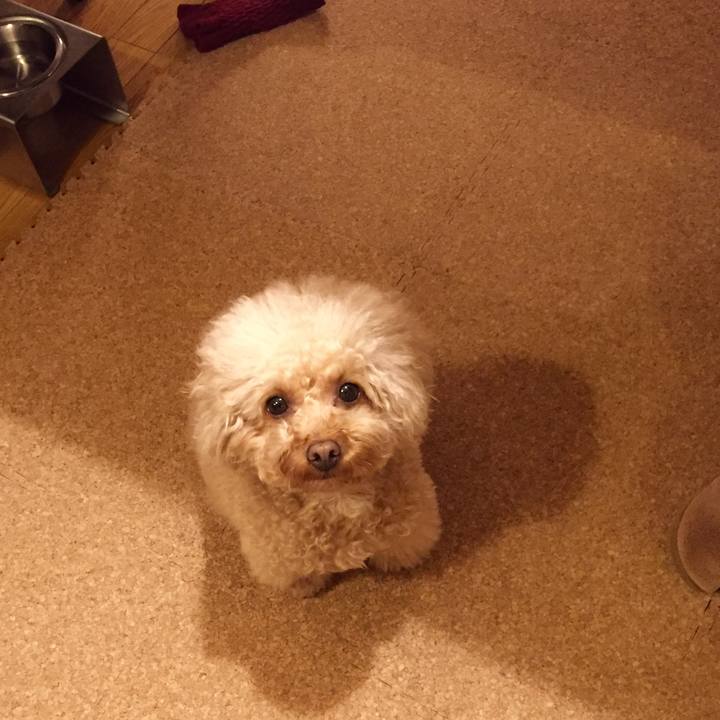 3a223d54 ee8e 4045 831d 407592272c0c