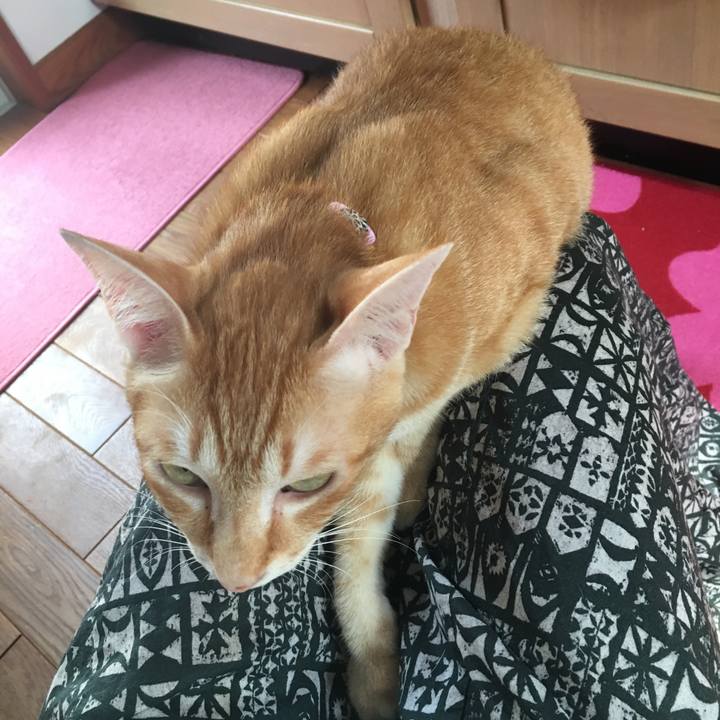 3a229208 5318 4205 9b15 2ca699f081a0