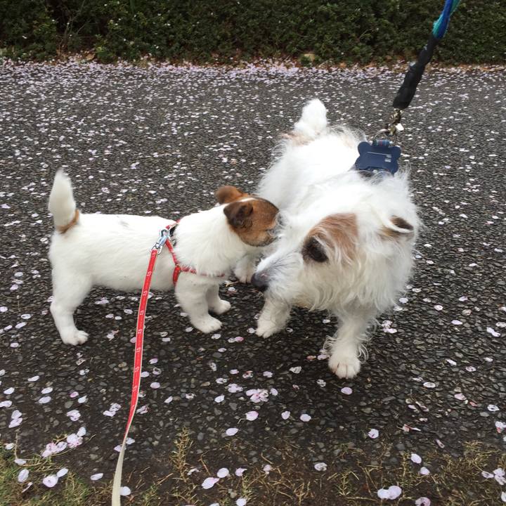 3a22979a d274 4c66 a61a 7510e31d6e9b