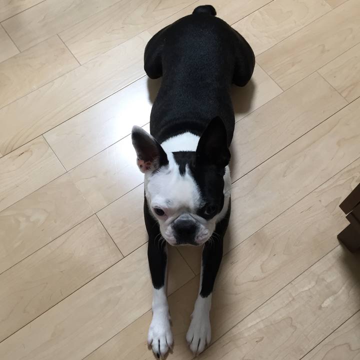 3a229f67 2cb3 4449 9ff9 1a14822365ab