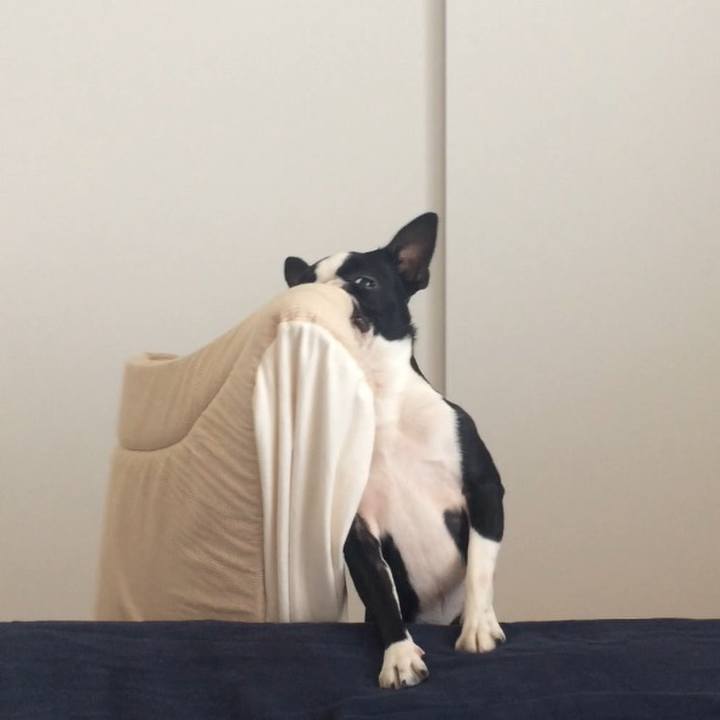 3a22f4af fbc8 4f2a 9e4a 7fb9a005c05d