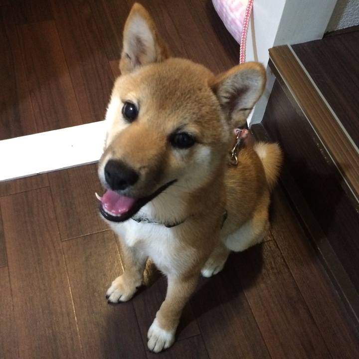 3a2319e0 eacd 4c5d b488 0b58b909dae7