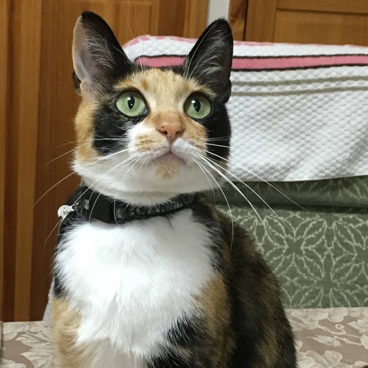 3a2338d9 13d7 4955 80b0 6b062c7560c6