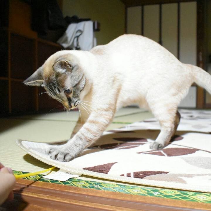 3a236c9c ed4b 4f18 a32b f1cce9a8486c