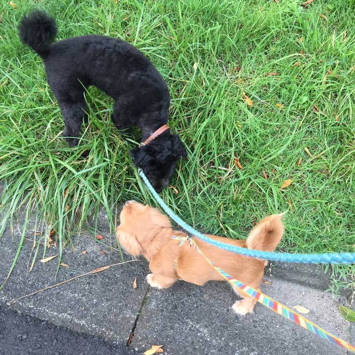 3a238f87 ae69 4fbd b215 3c0ffb2f1314