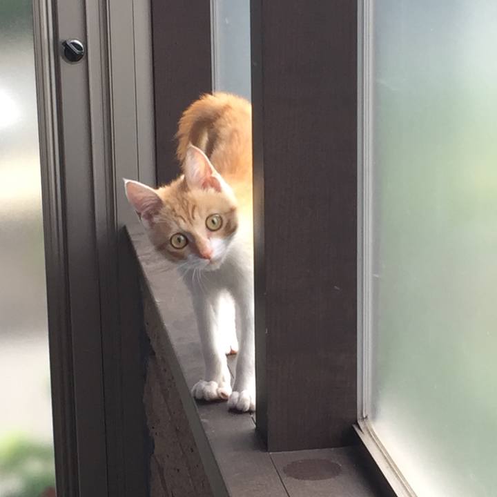 3a23d46a fd8a 4c26 9e04 679f8fb580d0