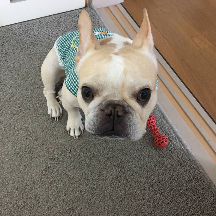 3a241e0f e07a 4754 8ced 82f3b350c848