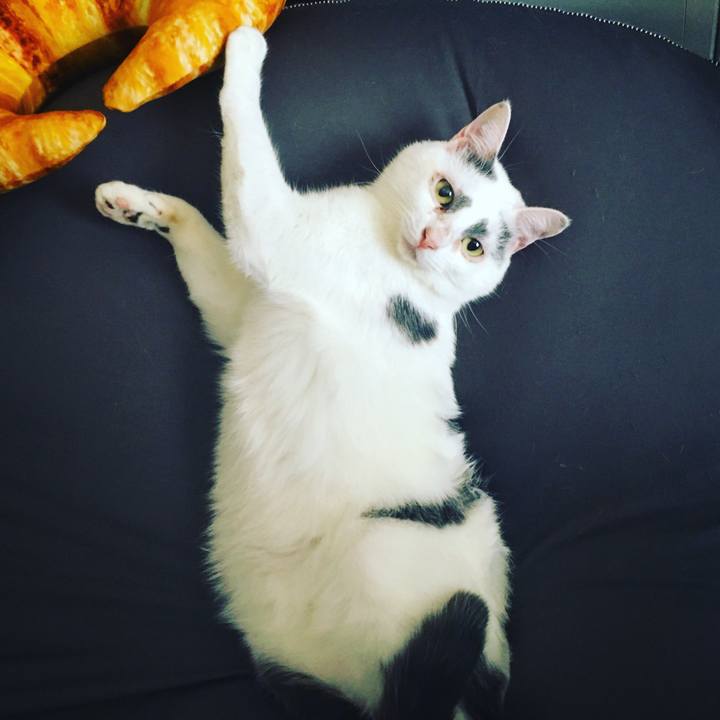 3a242325 afb6 4ab9 ba37 6a35e12e1616