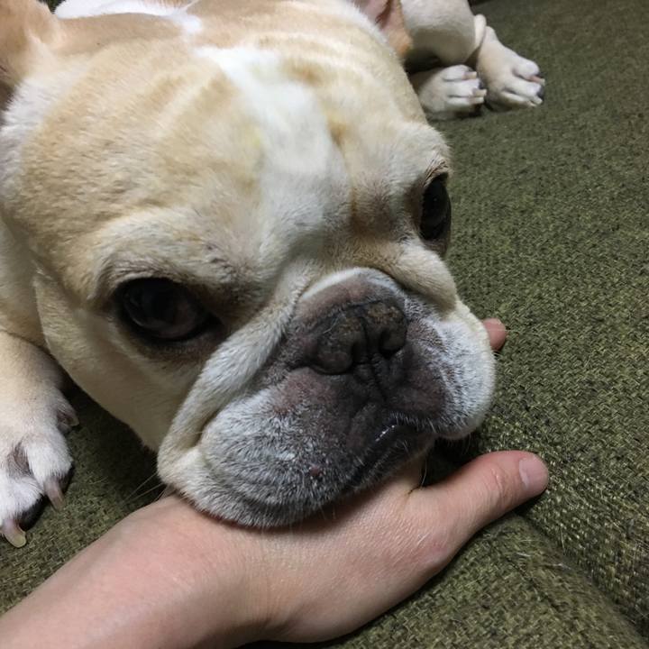 3a24d30a ba3d 4d59 b20c 11a2afd24e84