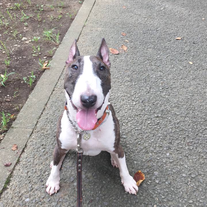 3a26065c f758 4b30 a3b1 0c2cb60da7fa