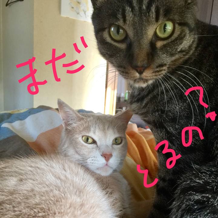 3a26f63b a44e 4a42 ad26 8f1c90cfb1fa