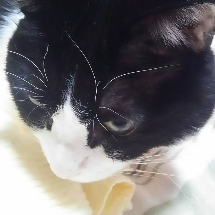 3a27565b 7d3e 40c2 95fc 748d23c86708