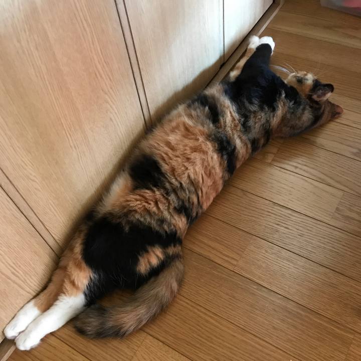 3a2763c5 dd1b 4768 8789 ecbf76c2d241