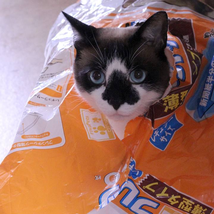 3a278a59 0618 4623 9cfa 3877d906ce58