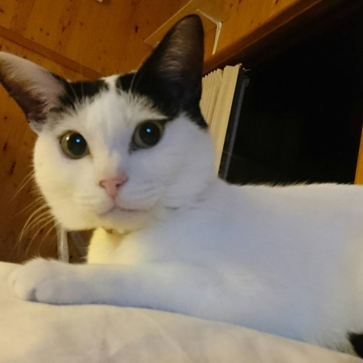 3a27a67a e9b2 4a90 a83f 7c9068ab6333