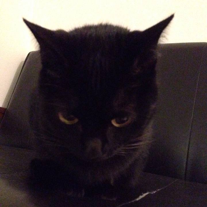 3a27b37a 9605 4b2e aa93 7c596bb7be29