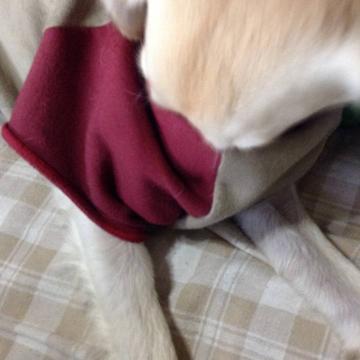 3a28fea1 6227 40cd 8fa6 eb8a253e3a67