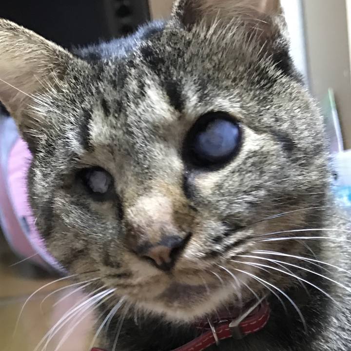 3a291add 6a6c 4548 a2d4 ac1a41424f70