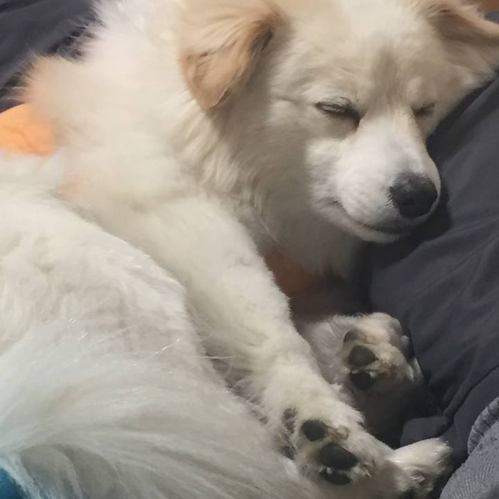 3a292145 bc36 417a a8ff 124d741bb8b6