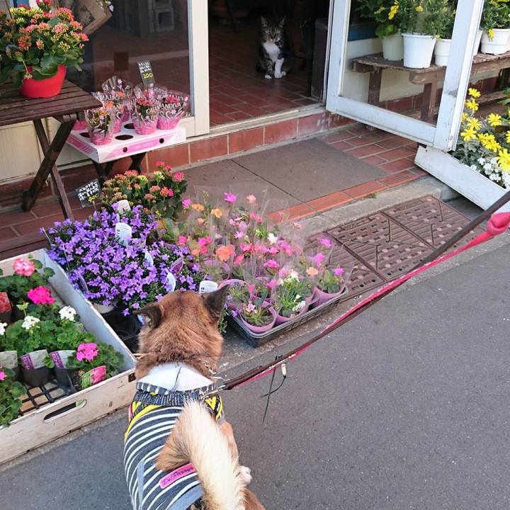 3a292763 298a 4ffa b612 c0191291f49f