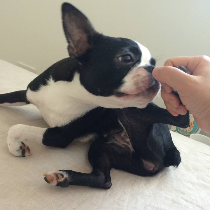 3a292d1a 1877 41f4 8422 32e88c77e88d