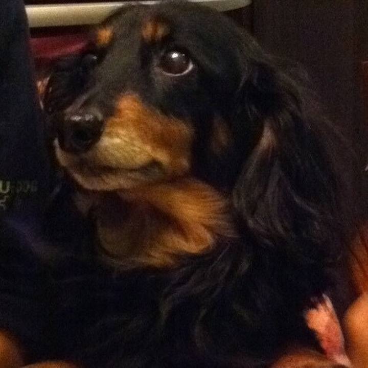 3a295e4f 11b0 4366 8169 52edeec4ee37