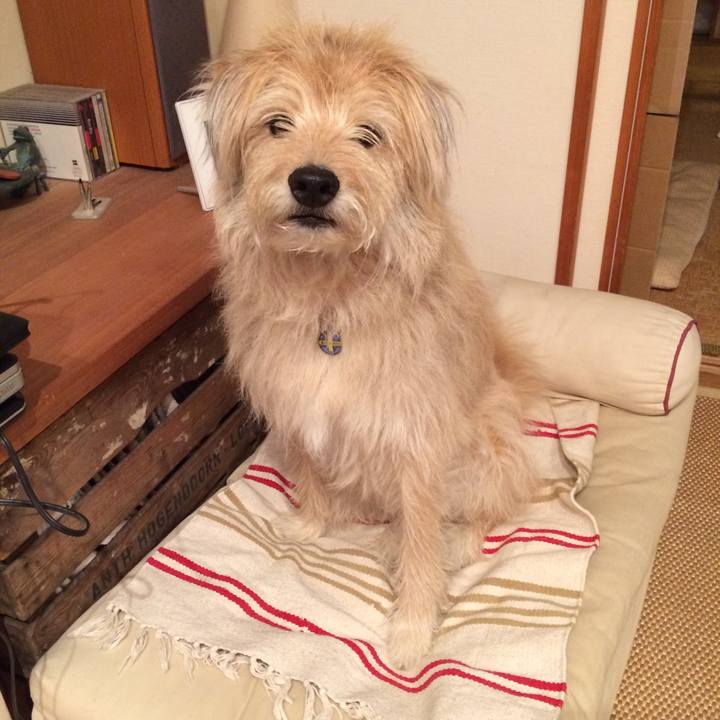 3a29c289 6a2a 4538 931b 334e78ee22d3