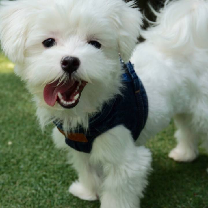 3a29fc1b 576d 416b b96d 1a75a73a7f29