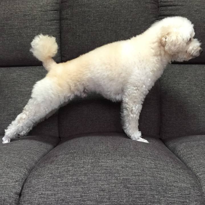 3a2a422c b8ee 429b b107 b574dd0db0a8