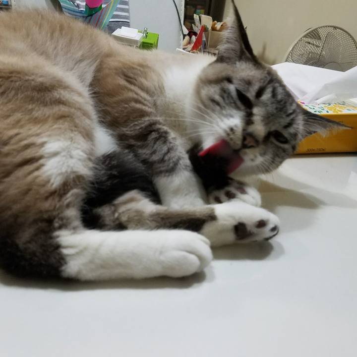 3a2ae52a 006e 43cb 92a9 939a95d5e436