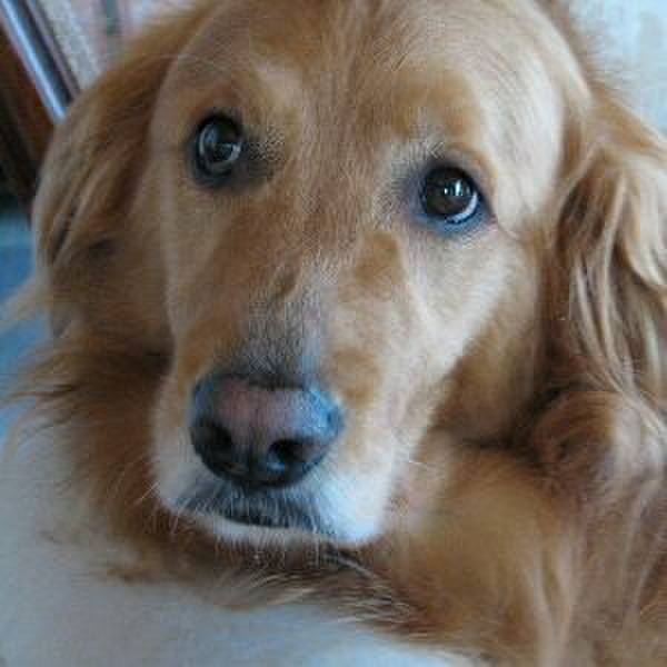 3a2b73bc da9e 4f47 8ea5 57f5e6986c18