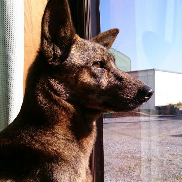 3a2b8a14 f5f4 4b50 9076 0bbee6f12402