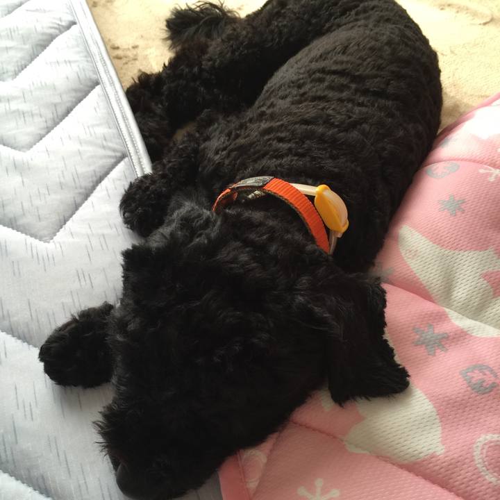 3a2baa72 0839 4a46 80ce 1e1c33be97b0