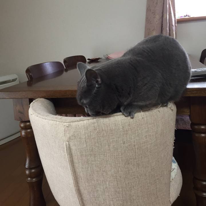 3a2c955b 6718 4c57 bb2a d270f7af5416