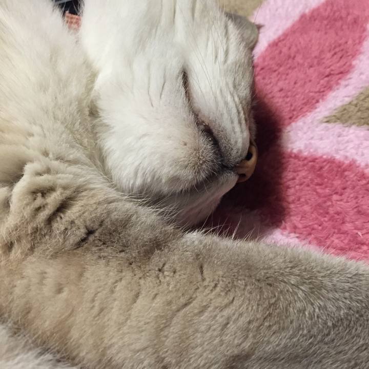 3a2d5491 a059 4879 8926 9530bf069fc9