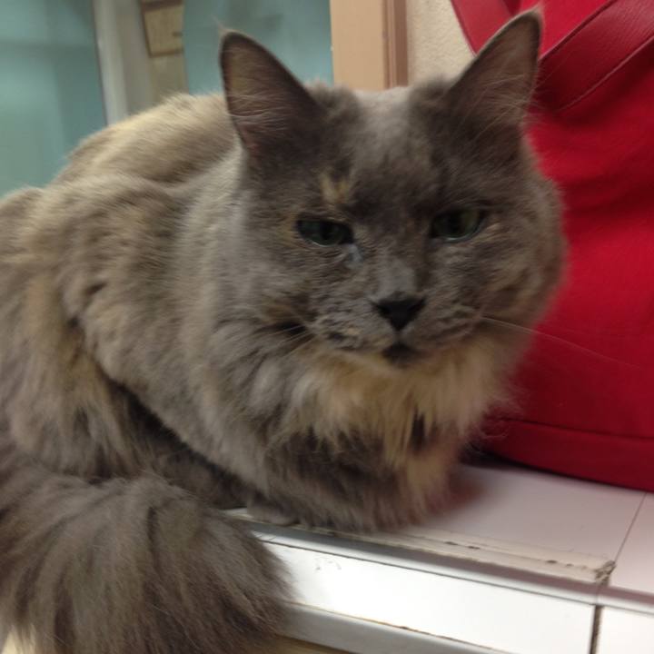 3a2db94e a178 4fdd b541 2d3c828f4a94