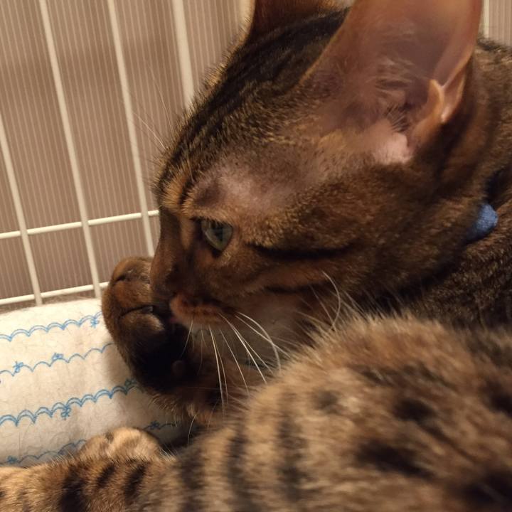 3a2e042d d3ab 43aa bac5 b9577e2f13da