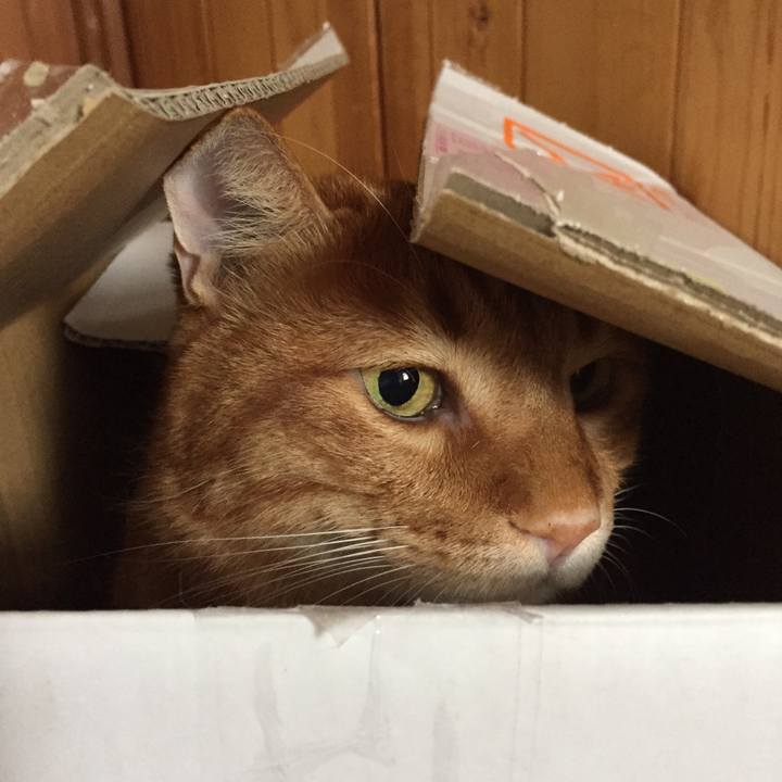 3a2fb529 bf90 4b17 b340 32f8b14e683d