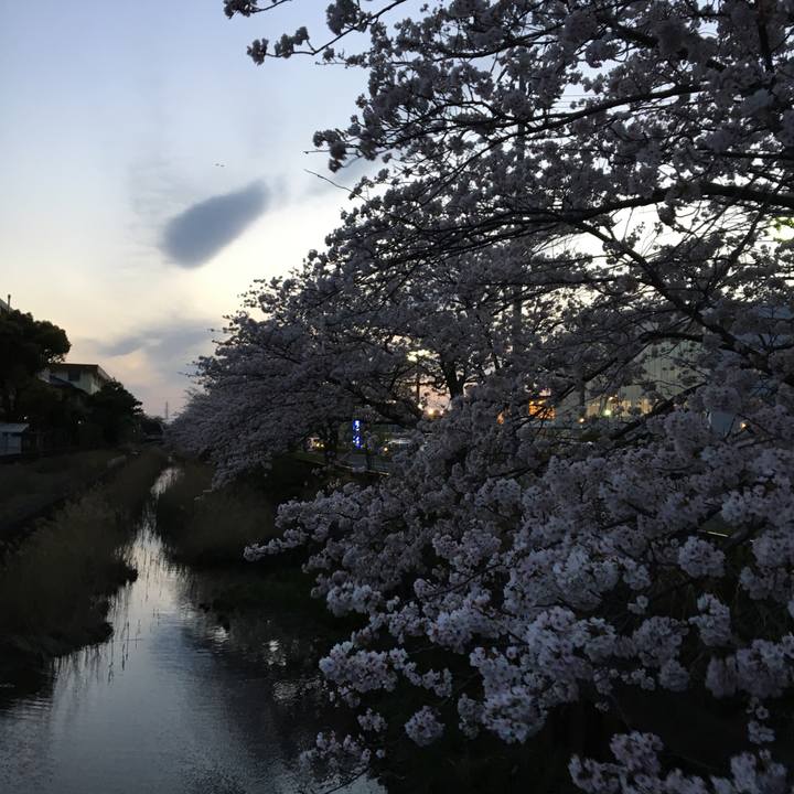 3a2feaf8 afc0 430b ad11 de1296e1dad4