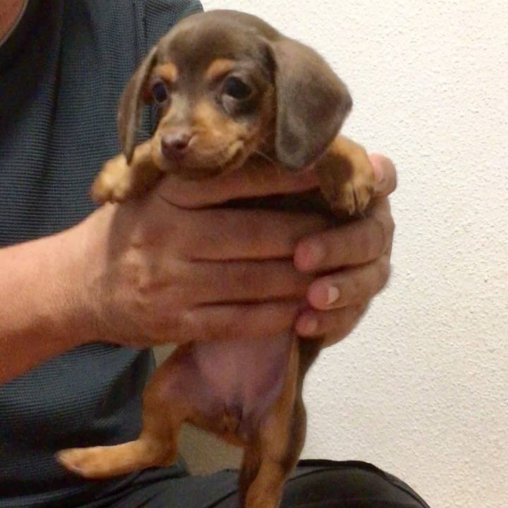 3a303d7e b885 4fb6 909c cf235103109b