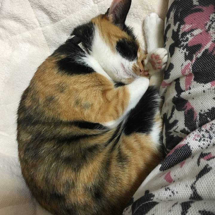 3a30639f 8699 44f9 9126 7c3b0d4bd5d0