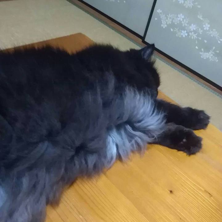 3a30a1b4 f633 42ae b095 903b385c3c16