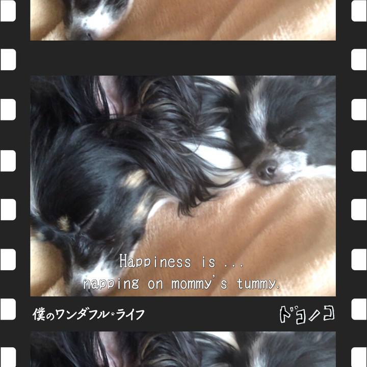 3a316132 fb07 499f 9adb f4c4740817b8