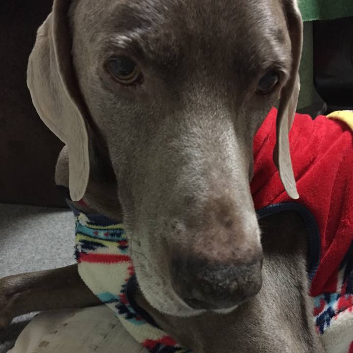 3a31639a ff76 4fa2 b4e6 d8a3dad369a2